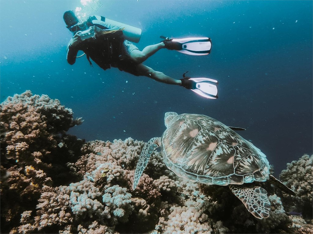 ¿Se necesita un psicotécnico para la licencia de submarinismo?